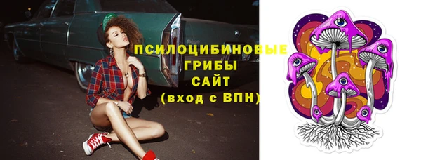 ГАЛЛЮЦИНОГЕННЫЕ ГРИБЫ Новокубанск