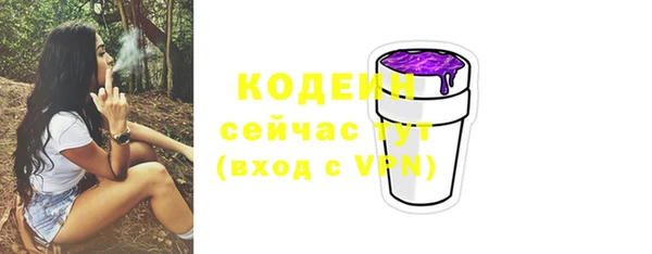 ГАЛЛЮЦИНОГЕННЫЕ ГРИБЫ Новозыбков