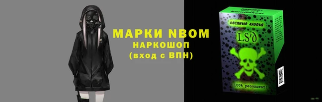 ГАЛЛЮЦИНОГЕННЫЕ ГРИБЫ Новозыбков