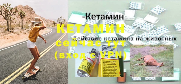 таблы Новодвинск