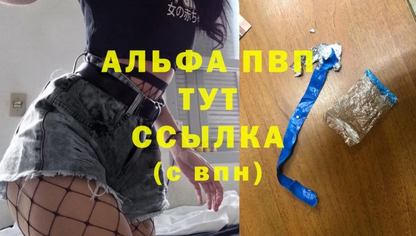 таблы Новодвинск