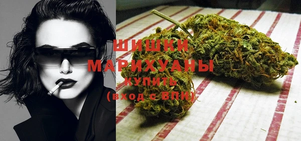 ГАЛЛЮЦИНОГЕННЫЕ ГРИБЫ Новозыбков