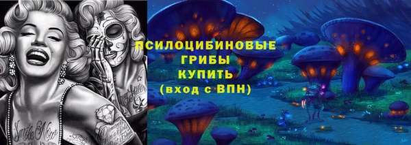 ГАЛЛЮЦИНОГЕННЫЕ ГРИБЫ Новозыбков