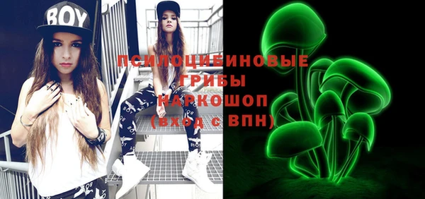 ГАЛЛЮЦИНОГЕННЫЕ ГРИБЫ Новозыбков
