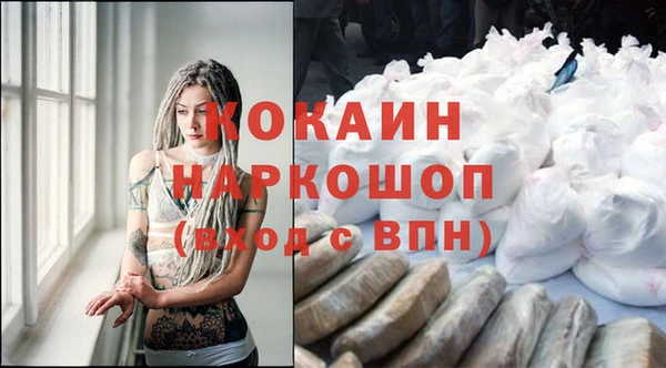 ГАЛЛЮЦИНОГЕННЫЕ ГРИБЫ Новозыбков