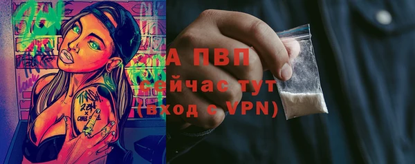 таблы Новодвинск