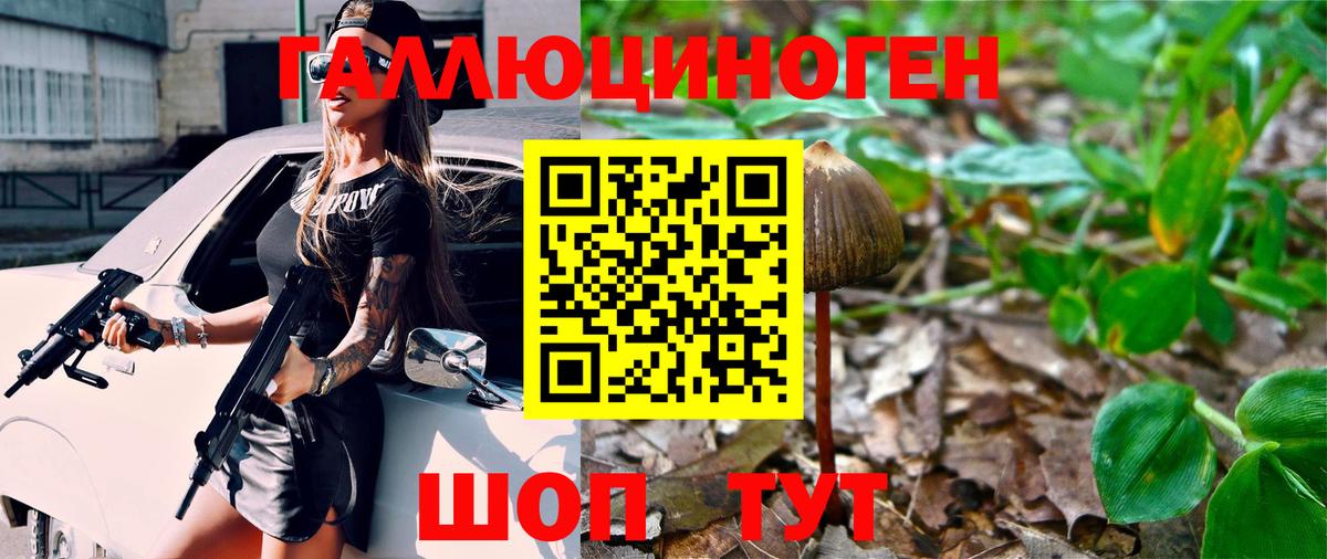 Ялуторовск  Псилоцибиновые грибы мухоморы  Вход с VPN 